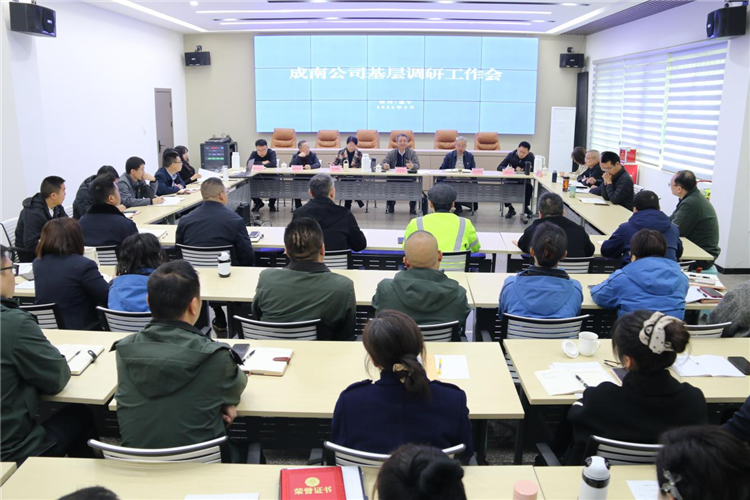 成南公司党委副书记、总经理万忠金一行赴基层调研指导工作.png