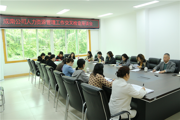 no204-成南公司组织开展人力资源管理工作专项检查.JPG