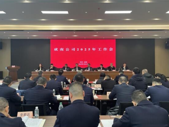 成南公司召开2025年工作会