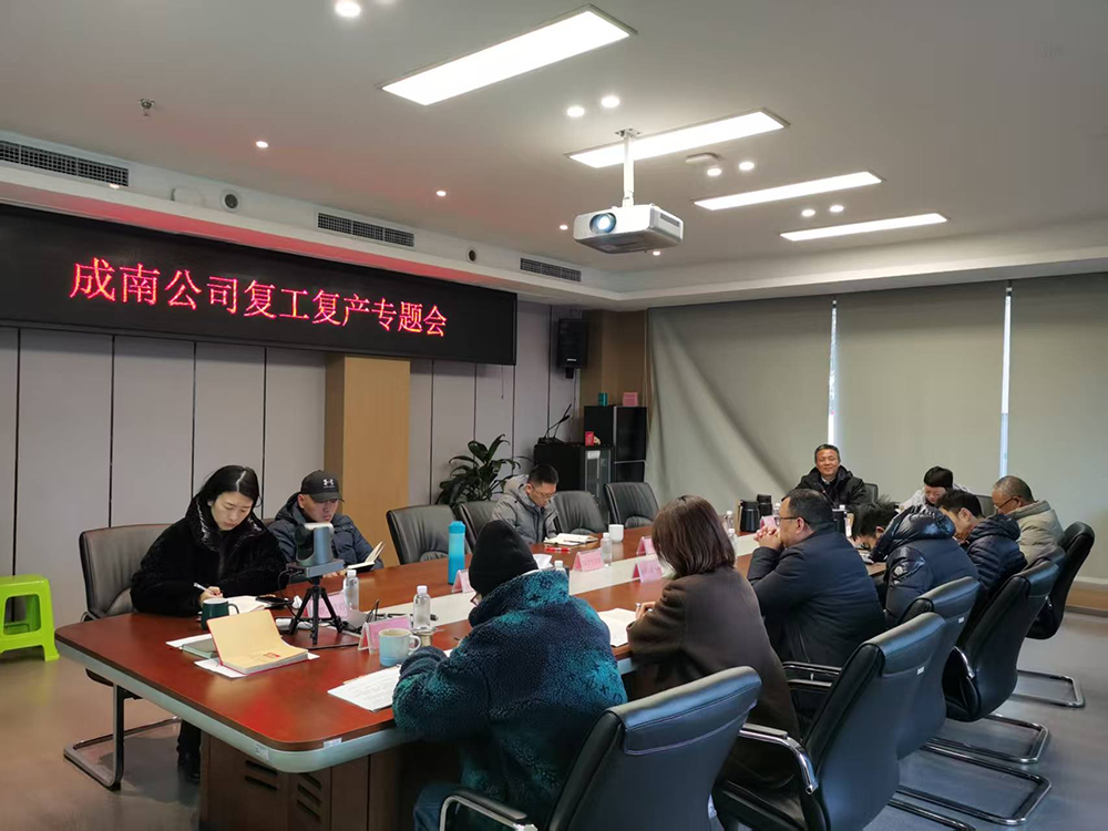 成南公司召开2025年复工复产专题会