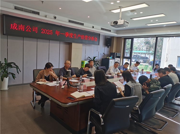 成南公司组织召开2025年一季度生产经营分析会.jpg