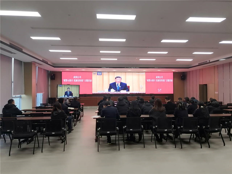 成南公司机关第一、第二党支部开展主题党日活动筑牢节日廉洁屏障.jpg