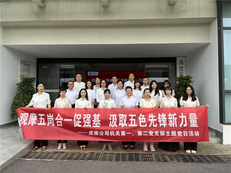 成南公司机关第一、第二支部开展6月主题党日活动.jpg