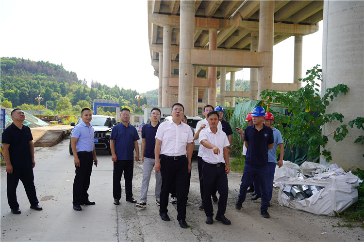 成南公司党委副书记、总经理付书颖带队调研南充辖区运营与建设工作.JPG